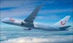 Air passenger ‘tried to open door’ mid-flight