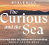 SILVERSEA® REVEALS EXCLUSIVE EVENTS FOR ‘THE CURIOUS AND THE SEA’ WORLD CRUISE 2026