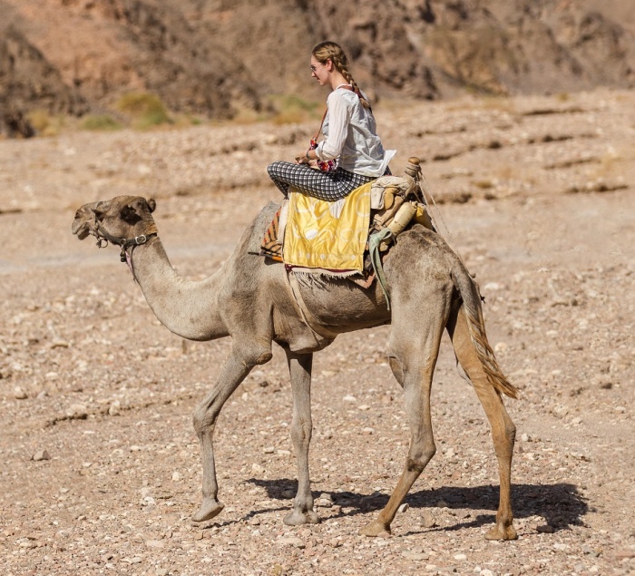 Breaking Travel News investigates: Tourism in the Negev Desert, Israel