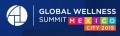 Global Wellness Summit 2015