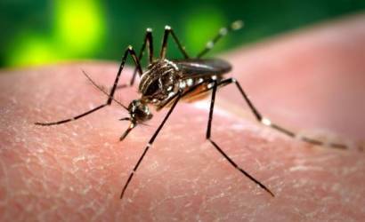 Concerns About Zika Are Affecting Global Tourism