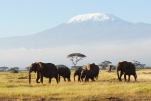 Tanzania - A Country That Simply Cannot Be Missed
