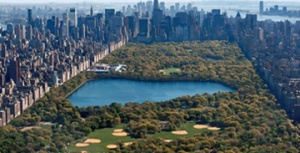 Things to do in Central Park