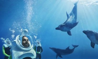 Aquaventure Waterpark welcomes new dolphin experiences