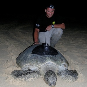 Jumeirah Supports Sea Turtle Satellite Tagging in Indonesia