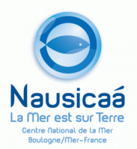 Nausicaa Welcomes Two New Sea Lions