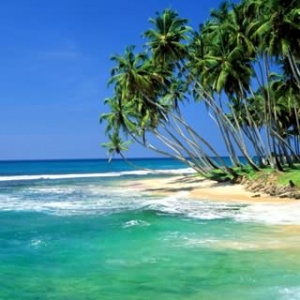 Tourism boom in Sri Lanka- Go now and beat the crowds