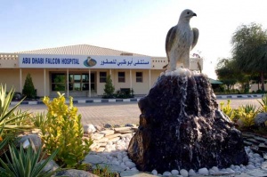 Abu Dhabi Falcon Hospital opens to visitors