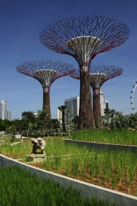 Gardens by the Bay transforms Singapore into a garden city