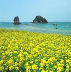 Jeju Island In Korea Prime Contender For New Seven Wonders