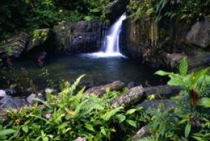 Puerto Rico’s El Yunque National Forest in new Seven Wonders campaign