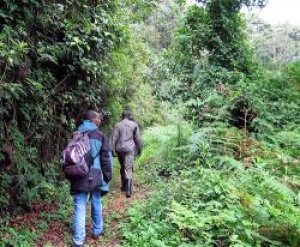 RDB to launch new tourism product: the Congo Nile Trail
