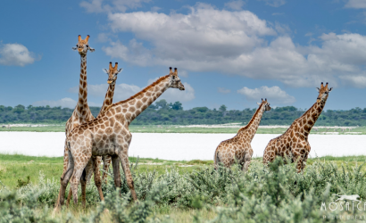 Acacia Africa Adds Nine Countries To Its Small Group Tours