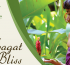 Mandala Spa & Resort Villas to offer Habagat Bliss