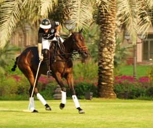 Emirates Palace to host Polo at the Palace