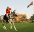 Abu Dhabi releases packed sports event calendar