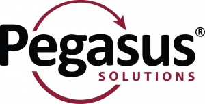 Pegasus Solutions sells financial services division