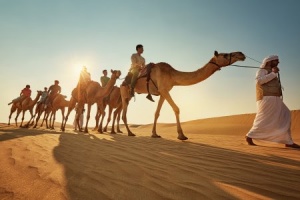 Guest arrivals to Abu Dhabi continue to increase