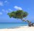 Aruba scraps last Covid-19 travel restrictions