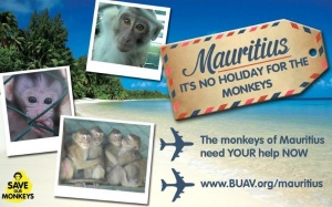 BUAV launch tourism awareness campaign