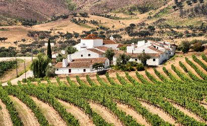 Visit Portugal launches new wine focus