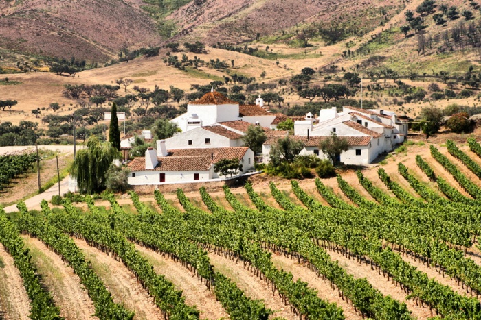 Visit Portugal launches new wine focus