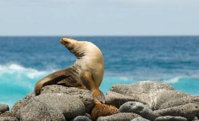 On The Go Tours launches cruises to the Galapagos Islands