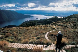 New Zealand Tours chooses .travel domain for optimal travel exposure