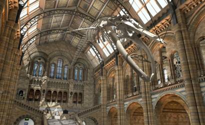 Natural History Museum reopens Hintze Hall as transformation continues