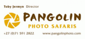 Pangolin - Africa’s first permanent photo safari operator