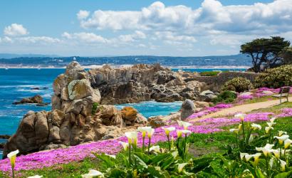 Springtime is the Best Time to Visit Monterey