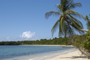 Trinidad & Tobago launches new eco-tourism trail development project
