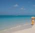 Ewing to lead Turks & Caicos Islands Tourist Board