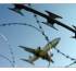 IATA AGM 2014: Governments urged to back aviation crackdown on unruly behaviour