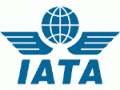 IATA:Traffic up slightly but too early for recovery