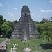 Tikal 2598