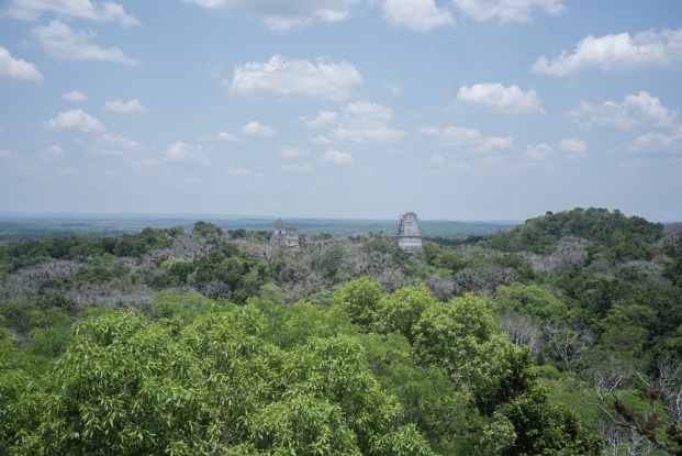 Tikal 2618