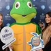 Turtle - 16