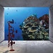 The-Island--underwater-museum