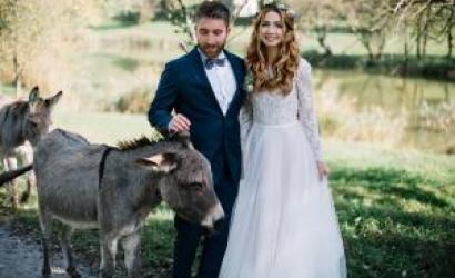 Goats, Turtles and Kangaroos Are Now in Charge of The Wedding Rings at Wedding Ceremonies