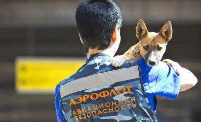 Aeroflot takes canine security to next level