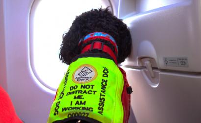 British Airways Helps Customer Fulfill Dream of Flying Again with Service Dog