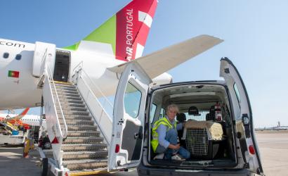 TAP fly’s rescue animal from Paris to new Lisbon home on top koala-ty flight