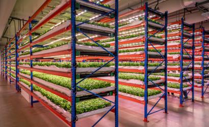 Emirates Flight Catering Completes Acquisition of Bustanica, World’s Largest Indoor Vertical Farm