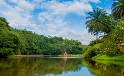 Qatar Airways Expands African Network with New Route to Kinshasa, DRC