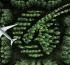Qatar Airways launches carbon offset programme