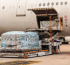 Global Air Cargo Demand Surges with 8.3% Growth in November 2023, Shows IATA Data