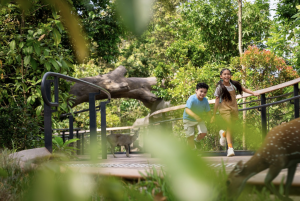 Singapore Airlines Group And Mandai Wildlife Group Team Up