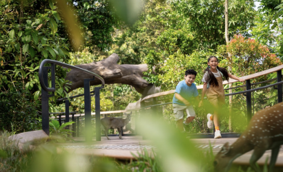 Singapore Airlines Group And Mandai Wildlife Group Team Up