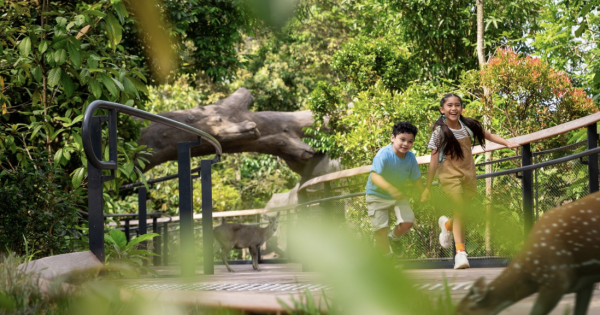 Singapore Airlines Group And Mandai Wildlife Group Team Up